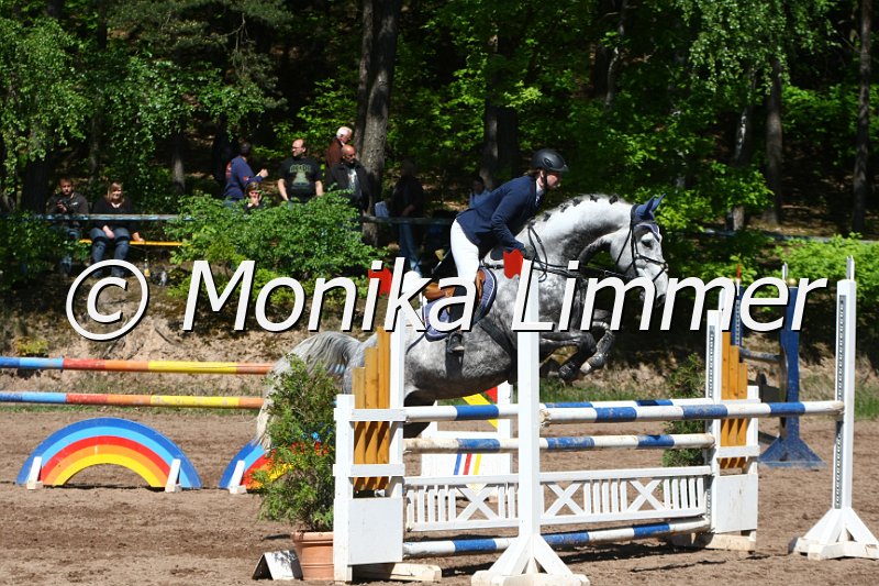 104M8478_Spring L.JPG